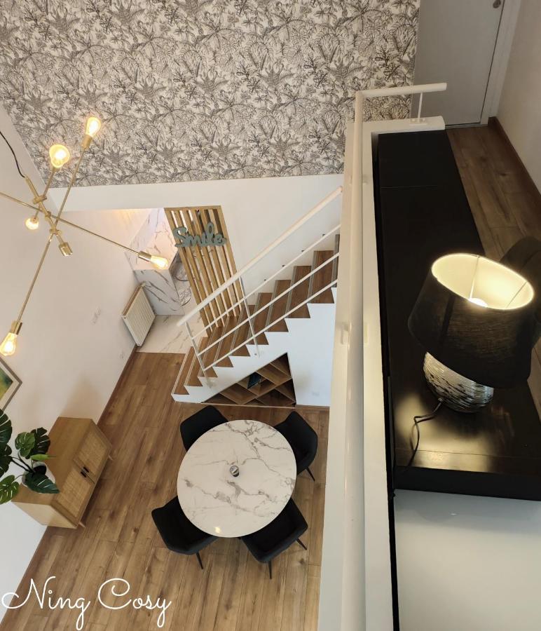 Superbe Cosy Duplex Appartement T3 Charpenne Tete D'Or Avec Parking Prive Gratuit Villeurbanne Esterno foto