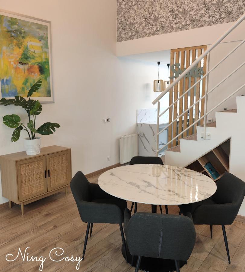 Superbe Cosy Duplex Appartement T3 Charpenne Tete D'Or Avec Parking Prive Gratuit Villeurbanne Esterno foto