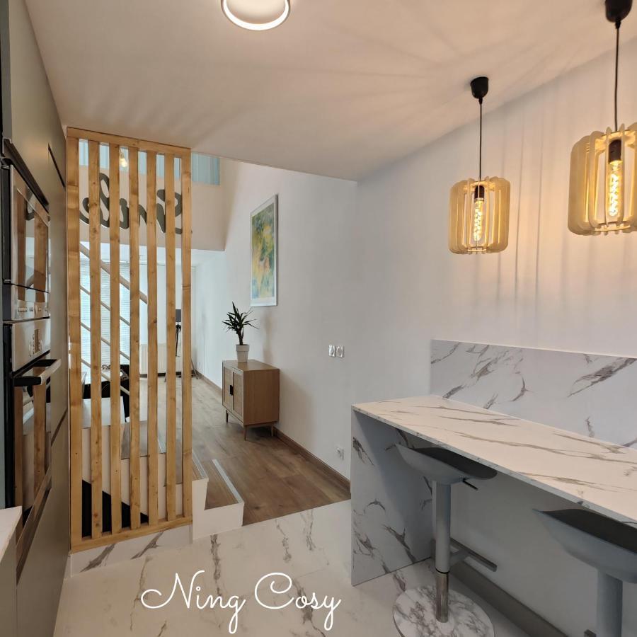 Superbe Cosy Duplex Appartement T3 Charpenne Tete D'Or Avec Parking Prive Gratuit Villeurbanne Esterno foto